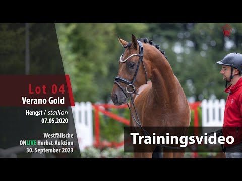 ONLIVE Herbst-Auktion Trainingsvideo Lot 4 Verano Gold Hengst v. Viva Gold - Fidertanz