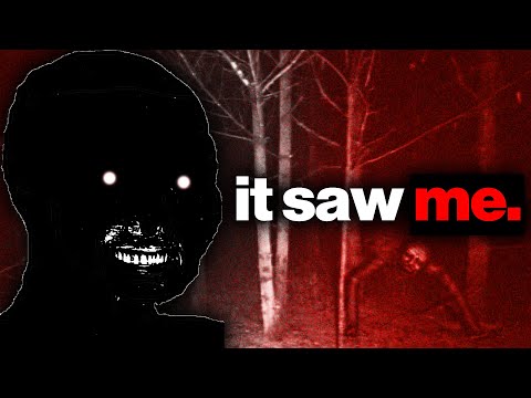 Reddit Humanoid Encounters