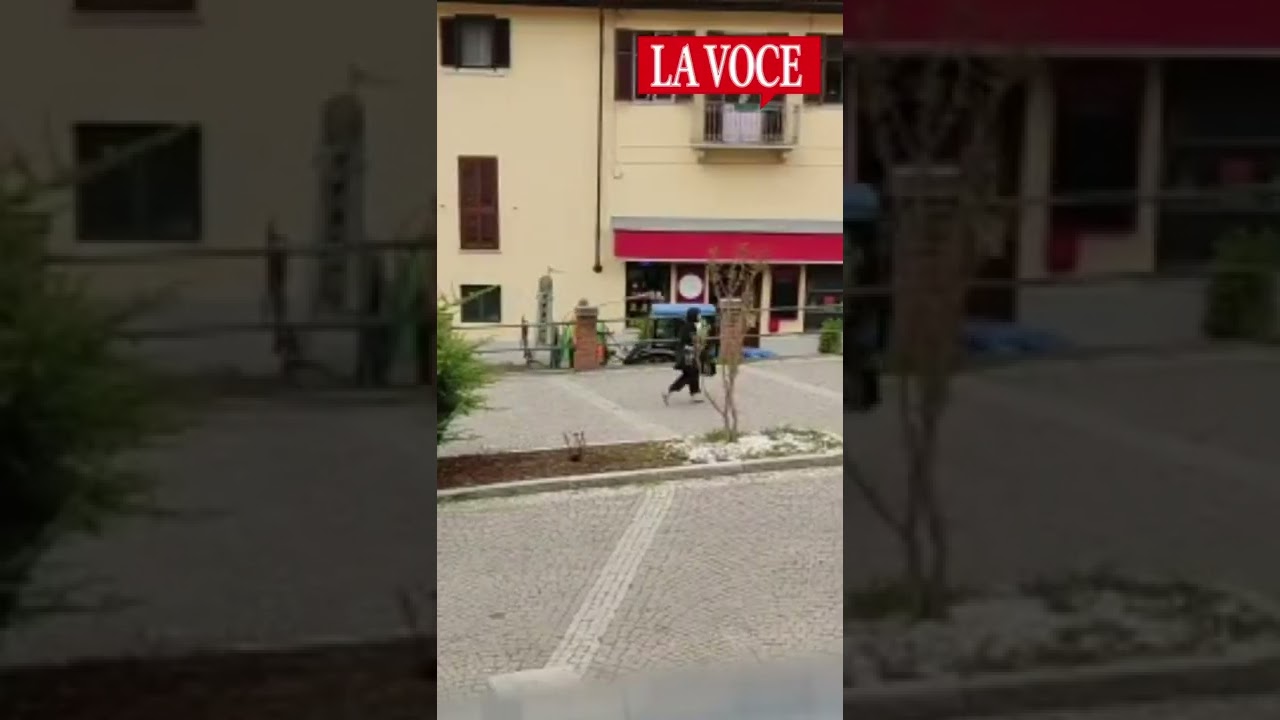 Watch Now Ecco come viene messo il diserbante nelle strade di San Mauro Torinese... Ecco come viene messo il diserbante nelle strade di San Mauro Torinese...