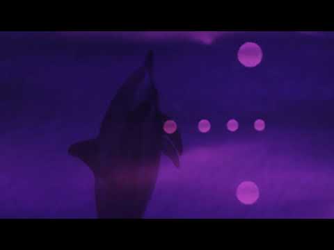 Sunju Hargun - ٹرانس