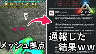 建てたらBAN！メッシュ拠点を通報した結果ｗｗｗｗ【ARK 公式スモールトライブPVP ソロ】#8