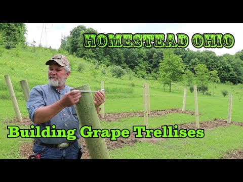 , title : 'Building Grape Trellises - Sturdy supports for grape vines