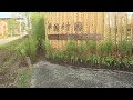 Het China Paviljoen op de Floriade