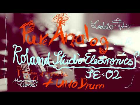 ROLAND/STUDIO ELECTRONICS SE-02 + UNO DRUM // PURE ANALOG