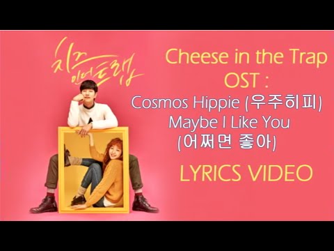 Cheese in the Trap OST : Cosmos Hippie –  Maybe I Like You { Lyrics Han, Rom, Eng}
