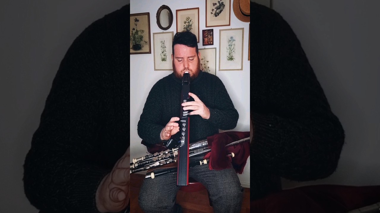 Boany Portmore ☘️ Performed on Uilleann Pipes and a EWI AP300 by Greaten.