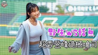 [閒聊] 登峰造極是讓啦啦隊走紅最快的應援嗎？