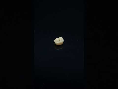 YouTube 썸네일