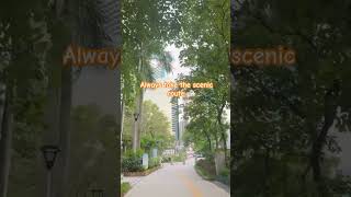 #nature #highlights #thebeatles #music #coversong #highlights #beatles #fypシ゚ #walkingexercise