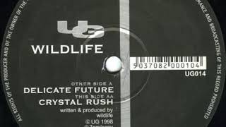 Wildlife- Crystal Rush