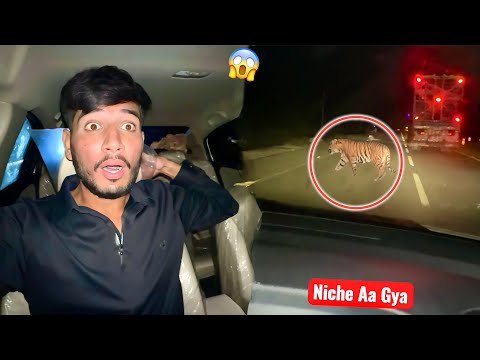 GARI🚘 KY NICHE JUNGLE JANWAR AA GYA💔