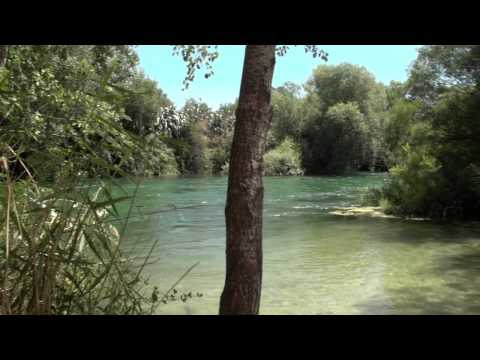 River Genil Bird Observatory in Cuevas de San Marcos