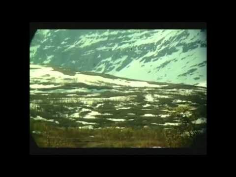 Stridsvogneskadron 2 dimmefilm 2010/2011