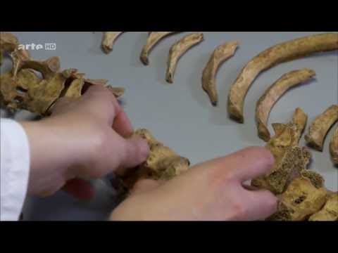 DIE PEST IM MITTELALTER Dokumentation Doku Deutsch