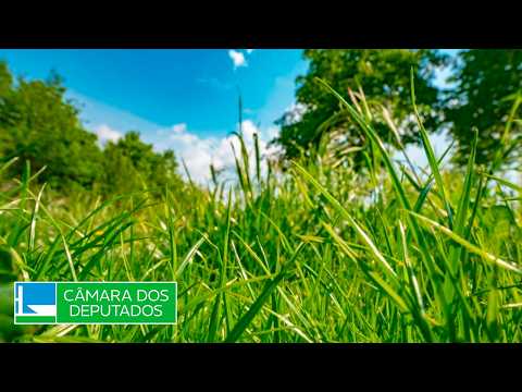 ICMBio, unidades de conservação e áreas de amortecimento em MG - Finanças e Tributação - 01/09/2026