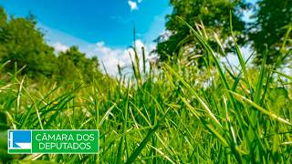 REUNIÃO CONJUNTA - ICMBio, unidades de conservação e áreas de amortecimento em MG - 01/09/2026 16:00