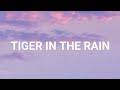 Tiger in the Rain - Michael Franks /lyrics