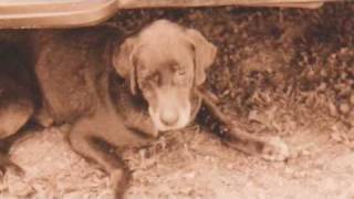 The USA , Family and Friends in sepia 1992  (music: The Passenger by Iggy Pop)