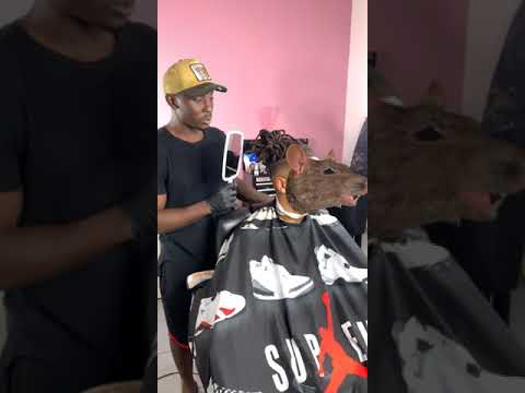 The Rat at the Hairdresser #Shorts