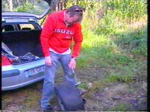 Markku Alen's lost wheel, 1981 Portugal Rally