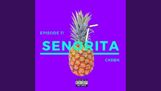 Senorita Music Video