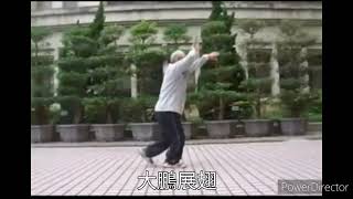 太極連環棒配上招式名稱字幕