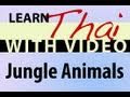 Learn Thai with Video - Jungle Animals