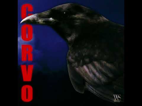 WS Records, WillsBife, SICKK, BIN, WOLL Y, Onnika & Massaru - Corvo