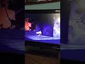 Closing To Pinocchio 1993 VHS