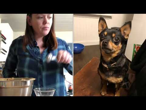 Huey Lewis and Devin make chocolate chip cookies :)
