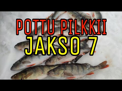 Pottu pilkkii 2021- jakso 7