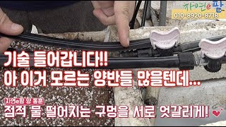 제대로 된 점적테이프 설치 방법 및 배지 소독, 토양 소독 어ᄄ…