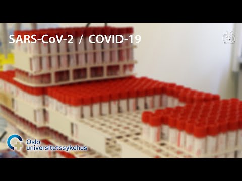 Vi har analysert en halv million koronaprøver