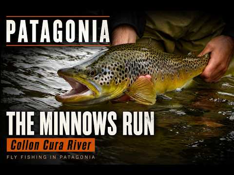 Fly fishing in Patagonia Argentina - THE MINNOWS RUN