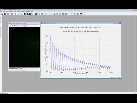 kSA 400 RHEED Analysis Software Feature – Damped Sine Fit