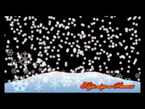 Redzo Stenaklic   Kazu daje u Americi 2011