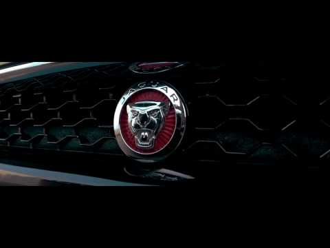 Youngg Ricardo ft Hernâni da Silva - Weekend (Official Video)