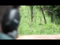 Longshot: Bullet in Flight 