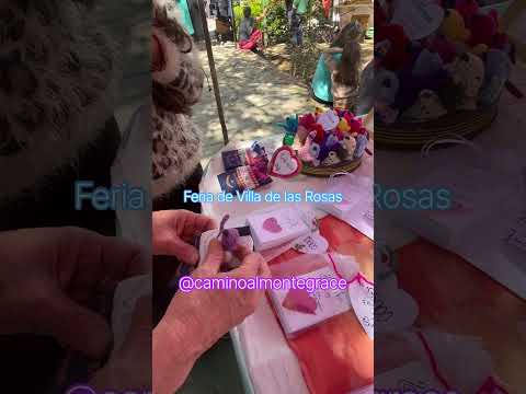 Lo más RARO que encontré en la Feria Artesanal de Villa de las Rosas, Traslasierra,Córdoba,Argentina