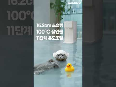 쿠쿠 AI 숏폼·바이럴 사례