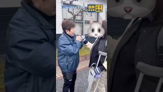 【国民民主党 野村美穂】3/23関ケ原駅で朝活をしました☀️3連休にお会いしたみなさまありがとうございました😊#国民民主党 #野村美穂 #岐阜県
