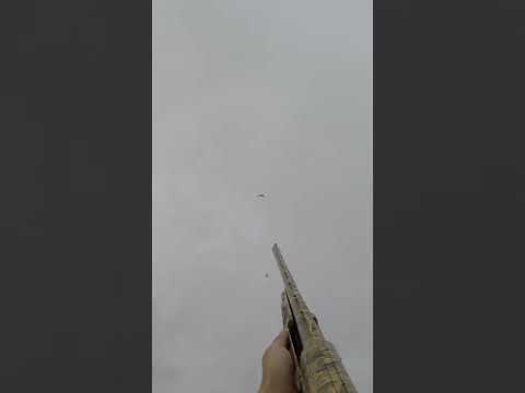 2 SNOWS in 2 SHOTS! (Snow Goose Down)