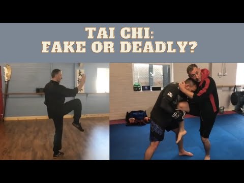 Tai Chi : Fake or Deadly?