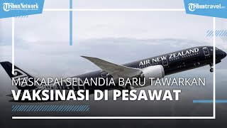 Kabar Baik! Maskapai Selandia Baru Tawarkan Layanan Vaksinasi di Pesawat, Tiketnya Langsung Ludes