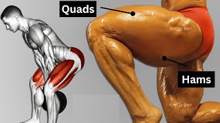 How to Train For Massive Legs (Quads & Hamstring)