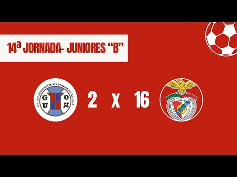 Jornada 15 (Juniores B)