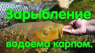 Озера для рыбалки в одесской области