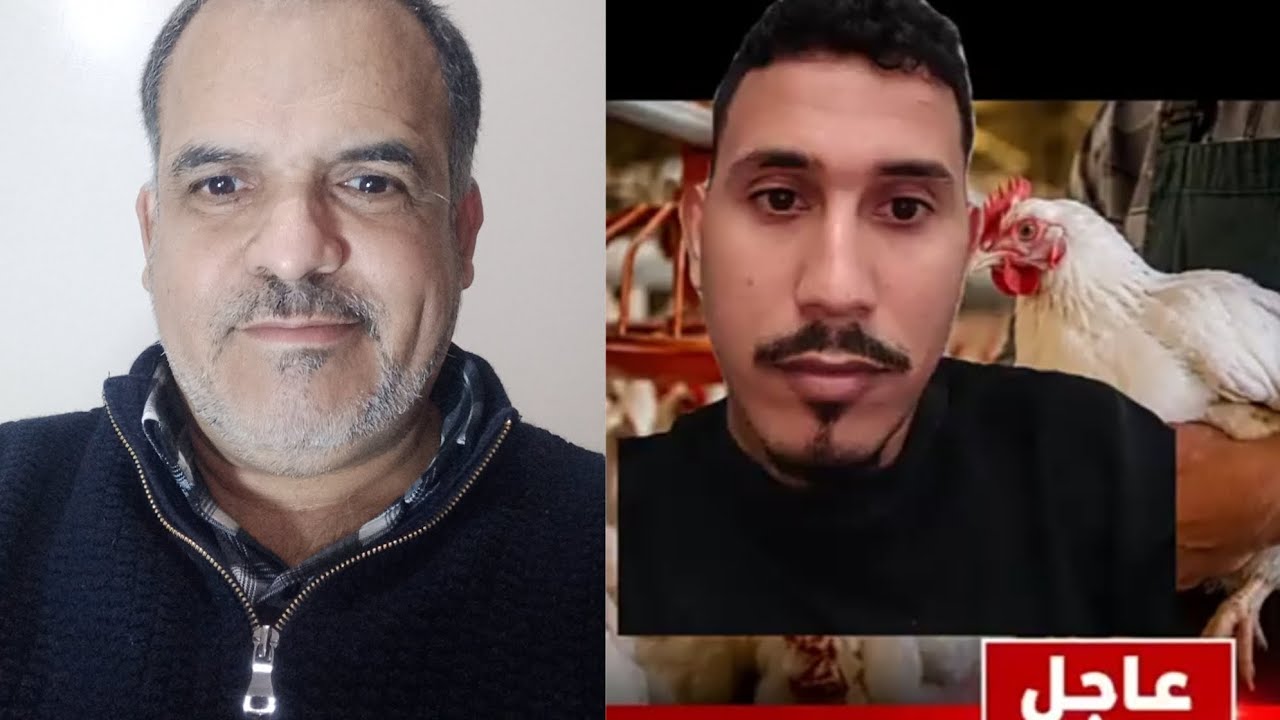 انخفاض معقول في أسعار الدجاج بخسارة تفوق 50٪ بالنسبة للمربين يطالبون بالدعم