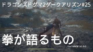 【DD2DA 】奪われた物質　拳が語るもの、わざと負けてみた　25