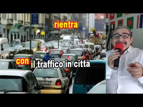 I GRANDI SUCCESSI  Cantati Da Me. " UNA DOMENICA ITALIANA  " Cover Toto Cutugno